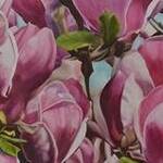 Immagine: Magnolie