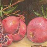 Immagine: Melograni(Pomegranates)