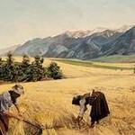 Immagine: Mietitura - Bulgaria