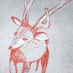 Immagine: "Mirabilia n.4"