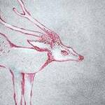 Immagine: "Mirabilia n.5"