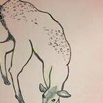 Immagine: Mirabilia11