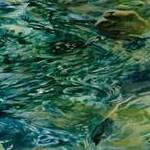 Immagine: Movimenti 1