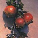 Immagine: Natura morta con melograni