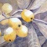 Immagine: "Nespole"