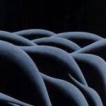 Immagine: Notturno
