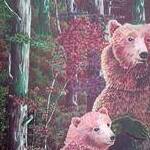 Immagine: Orsi