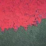 Immagine: pace e conflitto – 2004