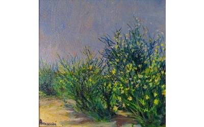 Immagine: Paesaggio