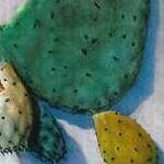 Immagine: Paletta fico d'India