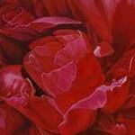 Immagine: Peonia rossa