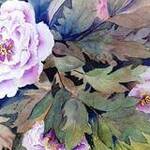 Immagine: "Peonie"