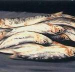 Immagine: Pesce azzurro