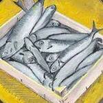 Immagine: Pesci nel rombo