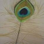 Immagine: Piuma di Pavone (Feather of Peacock)