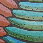 Immagine: Piume, 2007