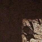 Immagine: porta - 2005