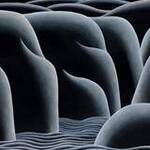 Immagine: Portobadisco, 2003