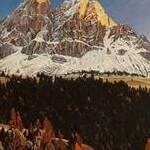 Immagine: Putia