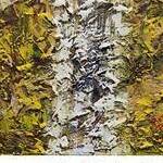 Immagine: Raggi d'autunno