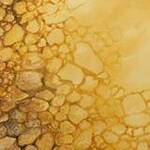 Immagine: Respiro