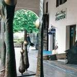 Immagine: Roberto Pozzobon. Germinazioni”