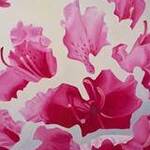 Immagine: Rododendro