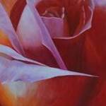 Immagine: Rosa rossa