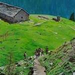 Immagine: Salita all'alpeggio Val Vigezzo