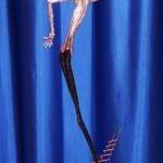 Immagine: Scultura