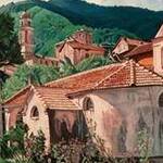 Immagine: Senarega