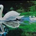 Immagine: Stagno dei cigni