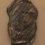 Immagine: "studio plastico"
