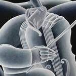 Immagine: Suonatore di violoncello