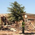 Immagine: Terremoto 2010: foto 8