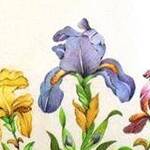 Immagine: Tre Amici(The Three Friends)