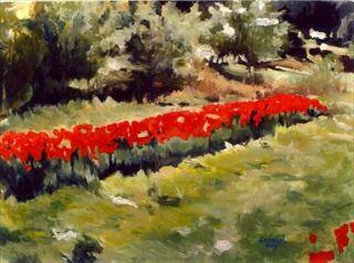 Immagine: Tulipani rossi