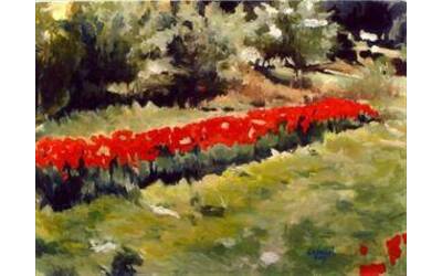 Immagine: Tulipani rossi