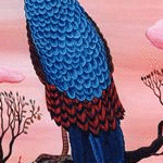 Immagine: Uccello di Schilua