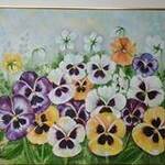 Immagine: Viola di Pensieri2 - Violets