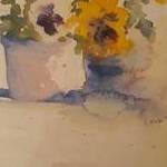 Immagine: Violette