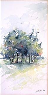 Immagine: Alberi