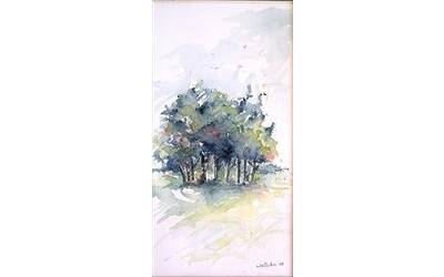 Immagine: Alberi