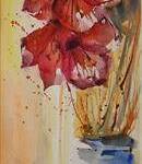 Immagine: Amarillis