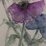 Immagine: Anemoni