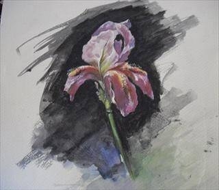 Immagine: Colori in Oscurità( Colours in darkness)