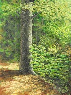 Immagine: Foto 1