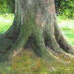 Immagine: Foto 3