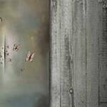 Immagine: foto 4