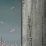 Immagine: foto 7